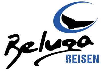 Beluga Reisen