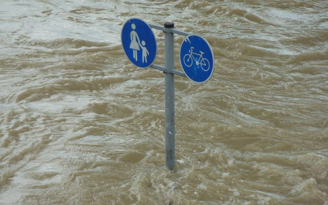 Fatal flooding in the federal states of Rhineland-Palatinate and North Rhine-Westphalia